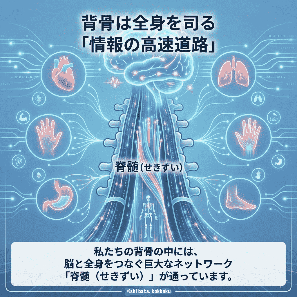 情報の高速道路